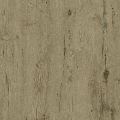 p11 - Al Noor 4094 Brushed Oak Texture