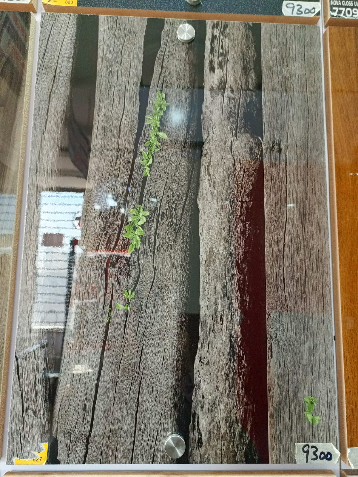 6406 - uv 827 platinum